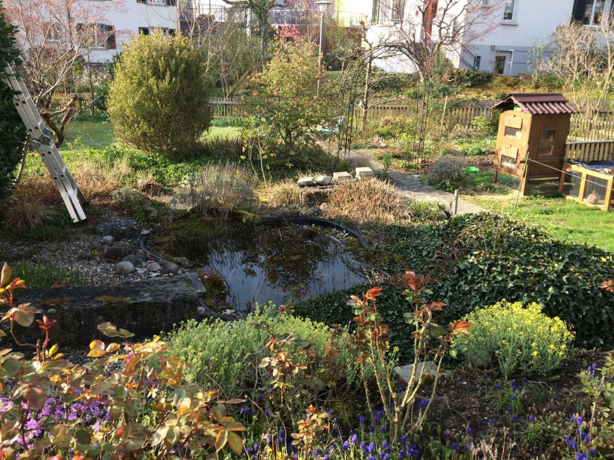 Ruhiges Gaestezimmer Winterthur Eksteriør billede